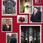 Wedding Walgreens Photo Collage