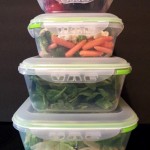 ozeri instavac green earth food storage container set