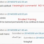 Website SPAM Comments