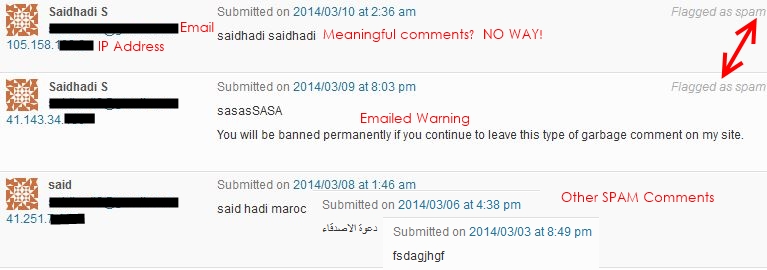 Website SPAM Comments