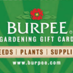 Think Spring $25 Burpee Gift Card Giveaway