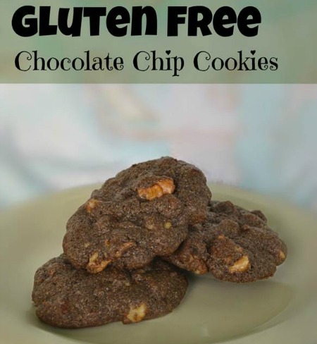 Gluten Free Chocolate Chip Cookies 2