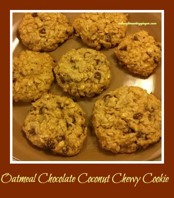 Oatmeal Chocolate Coconut Chewy Cookie