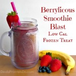 Berrylicious Strawberry Smoothie Blast – Low Cal Frozen Treat