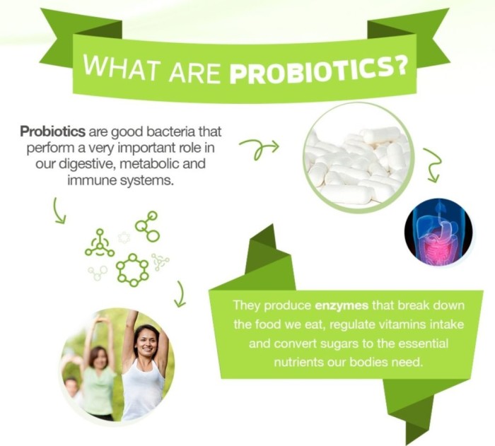 What are Probiotic Supplements